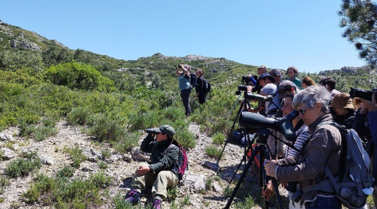 Une formation "rapaces diurnes" dans le vent !